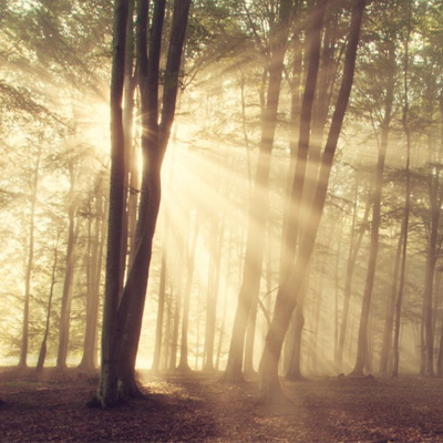 Escura - Nature to Nature – ESCURA